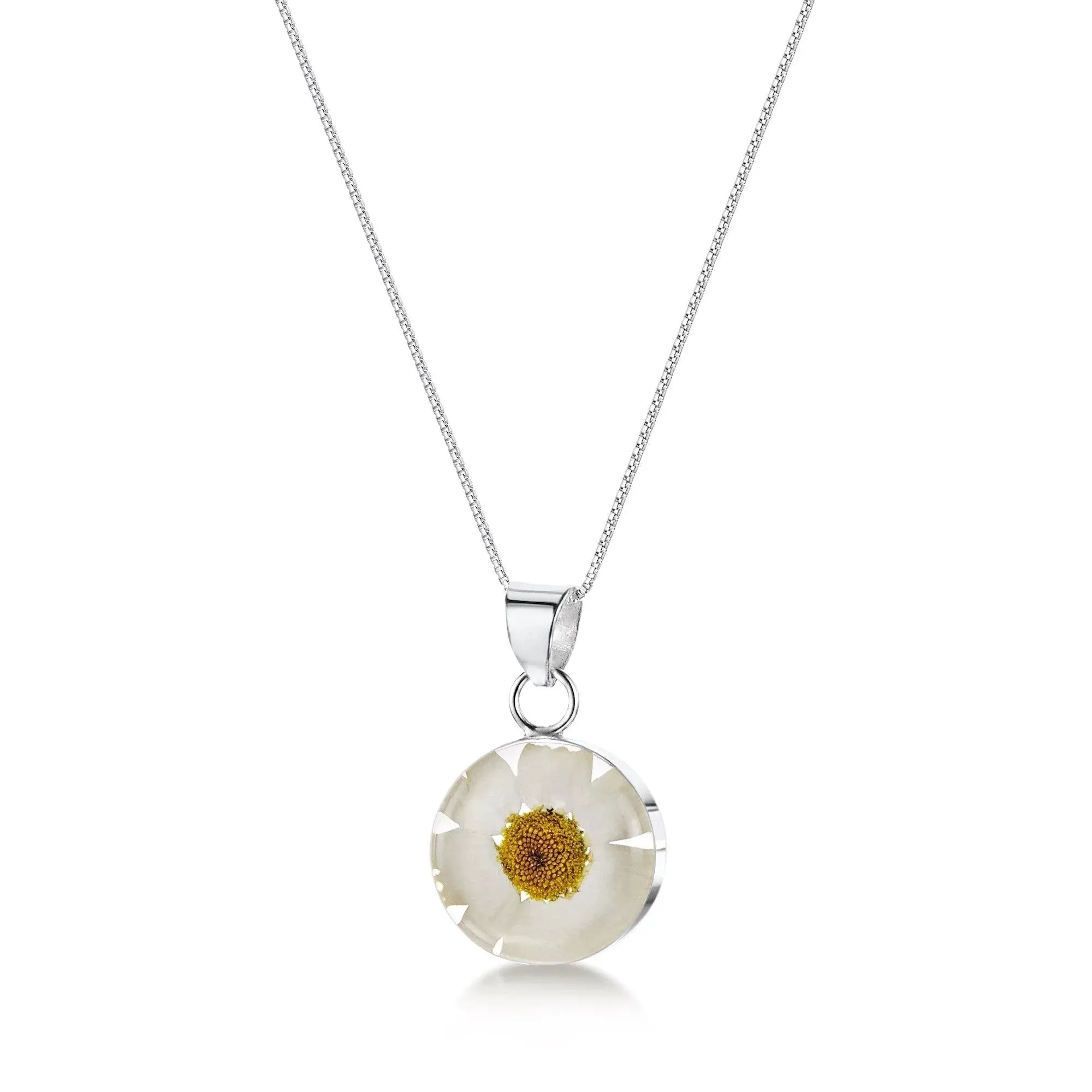 Daisy necklace by Shrieking Violet® Sterling silver & real daisy in a round pendant.