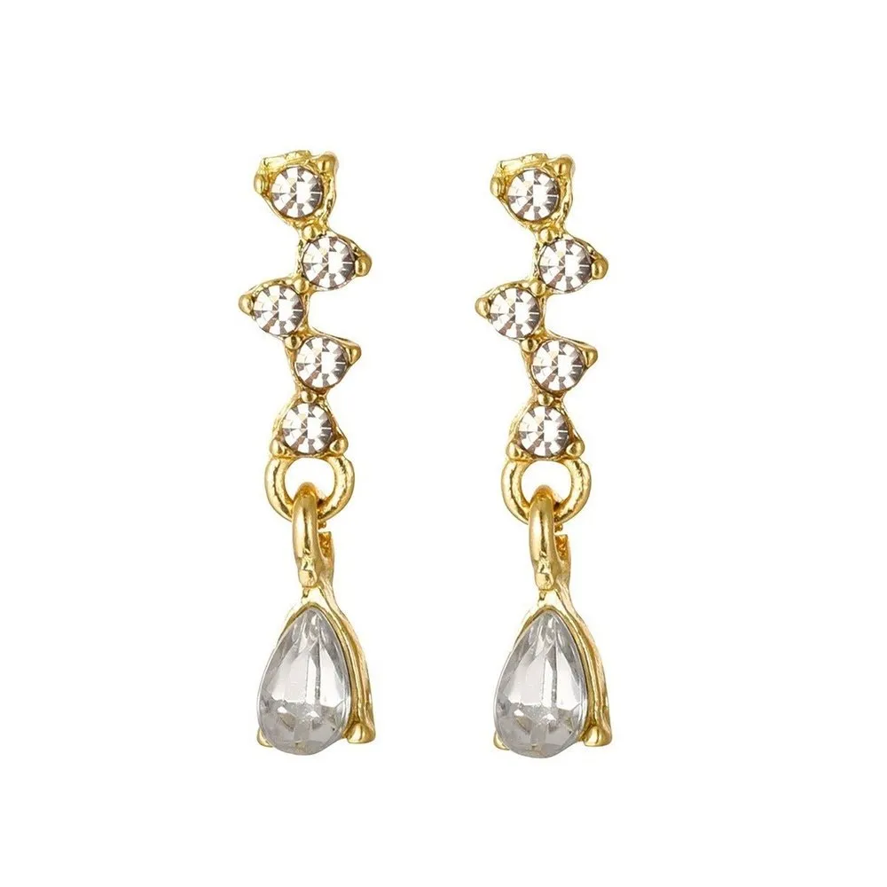 Exquisite Water Drop Shaped Earrings