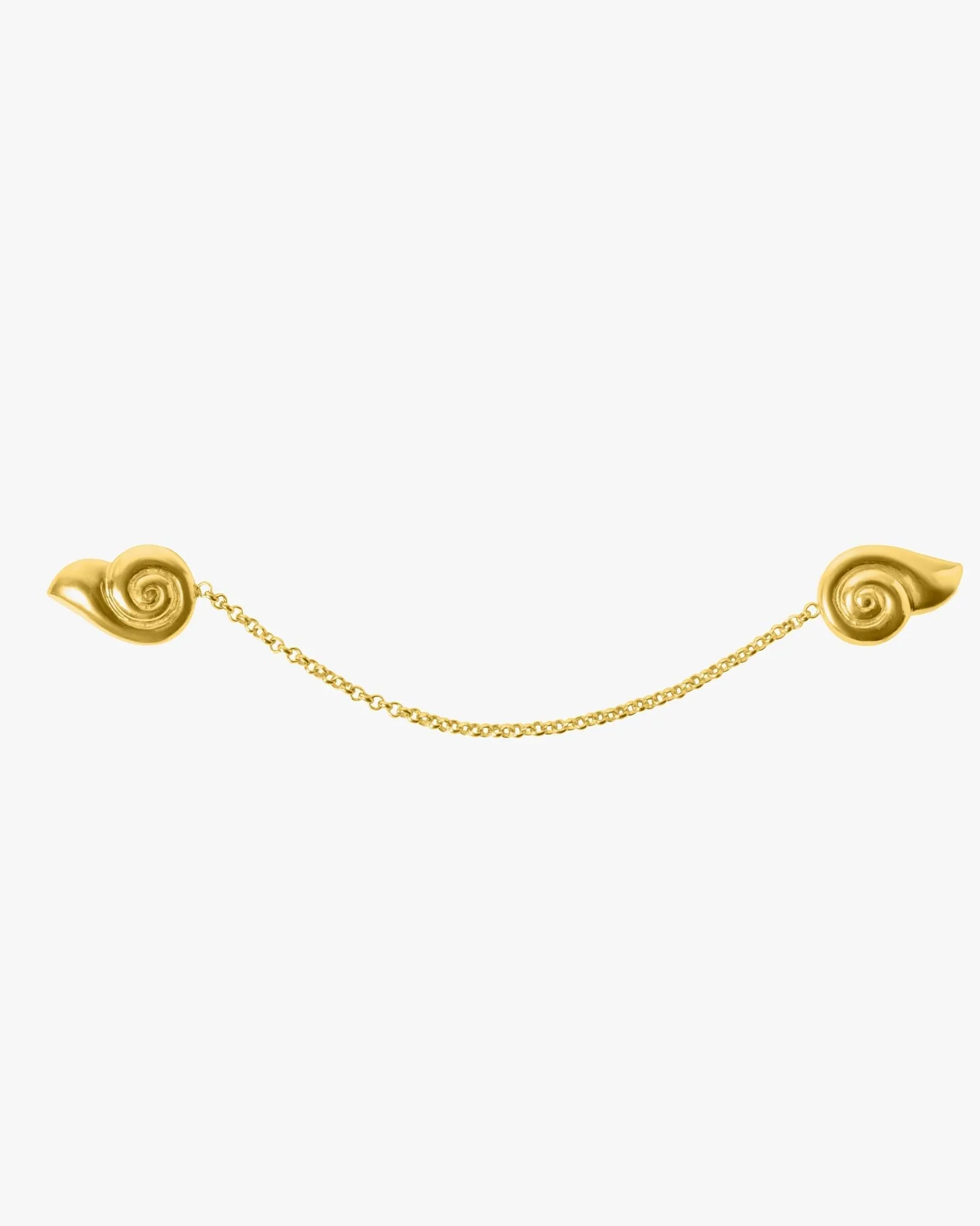 Moon Snail Link Brooch